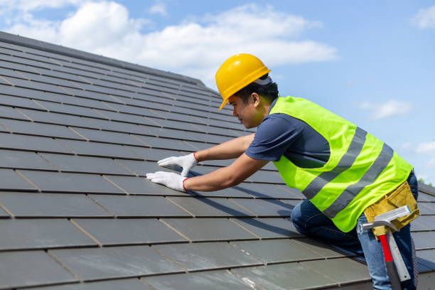 Best Roof Gutter Cleaning  in New Haven, CT